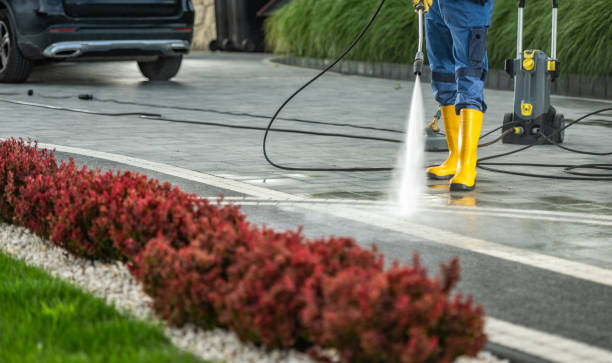 Best Driveway Cleaning and Restoration in Clear Lake, IA
